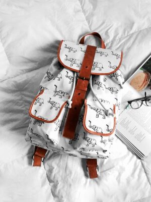 Lorem ipsum dolor sit amet, consectetur adipiscing elit